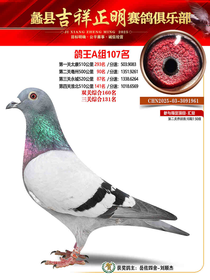 25年秋吉祥正明107号