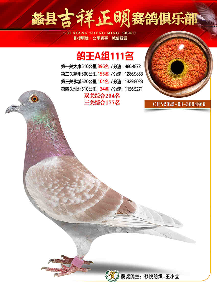 25年秋吉祥正明111号