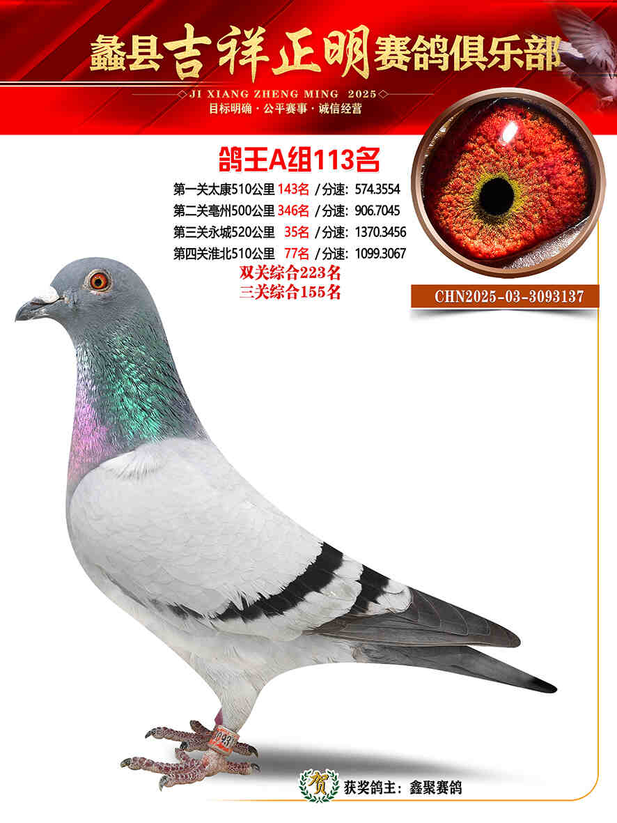 25年秋吉祥正明113号