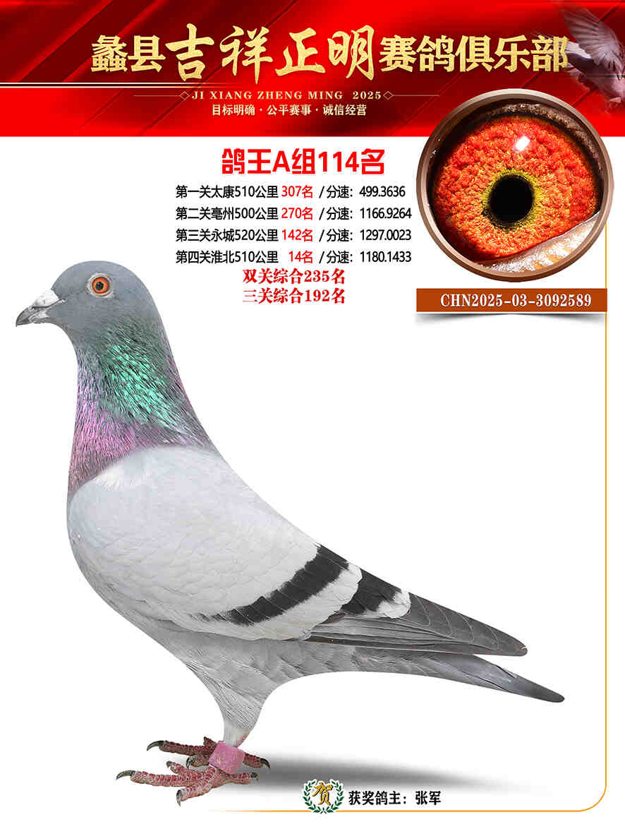 25年秋吉祥正明114号