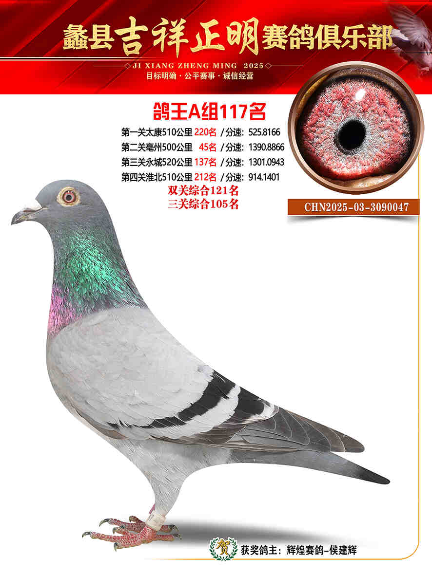 25年秋吉祥正明117号