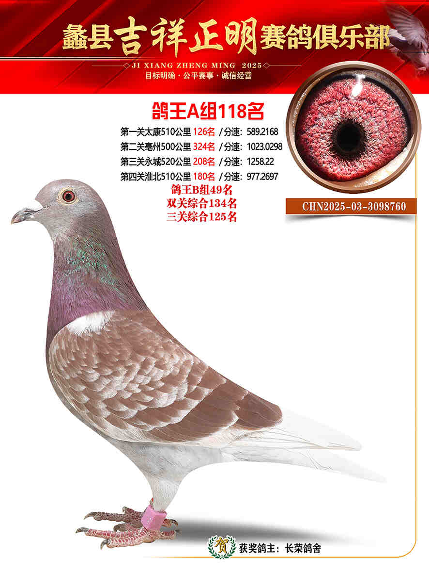 25年秋吉祥正明118号