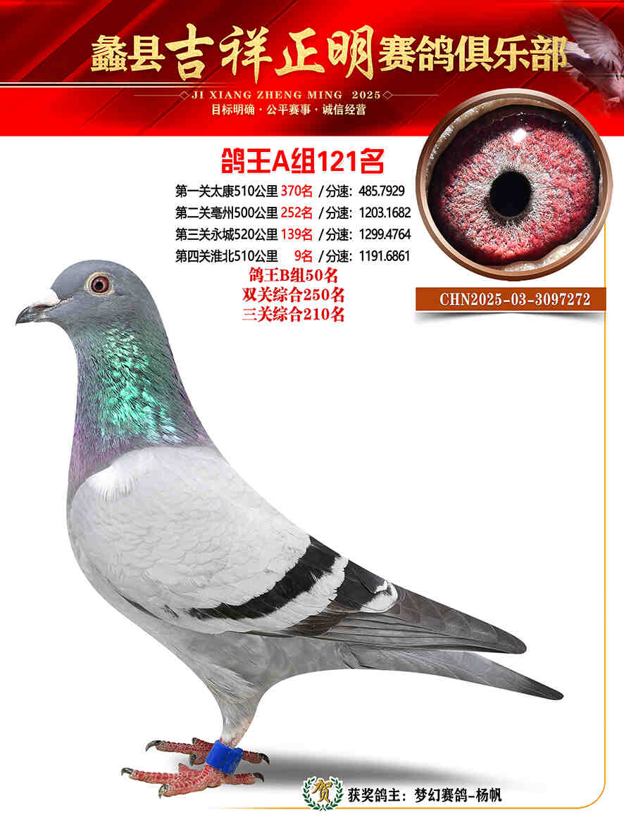 25年秋吉祥正明121号