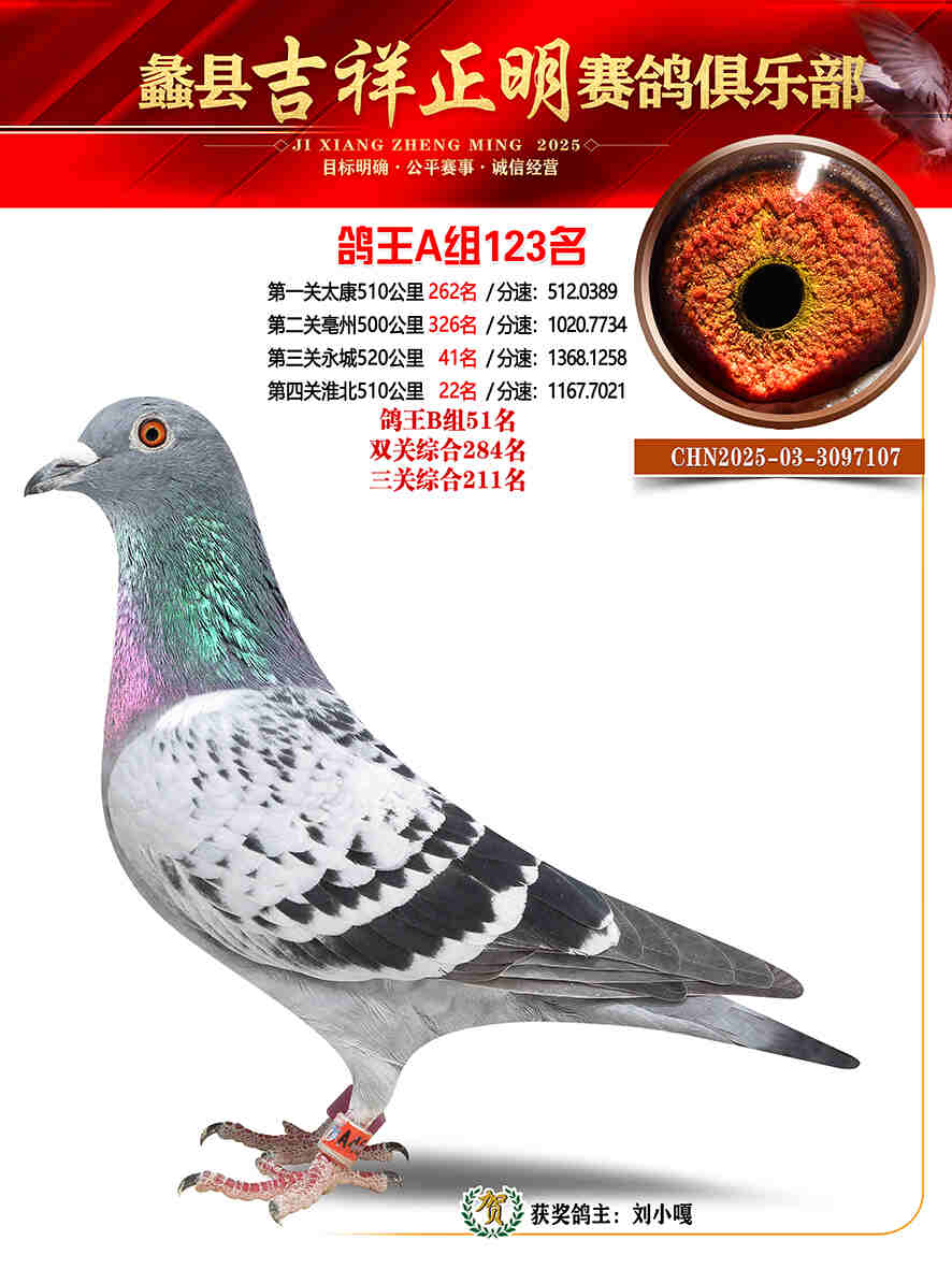 25年秋吉祥正明123号