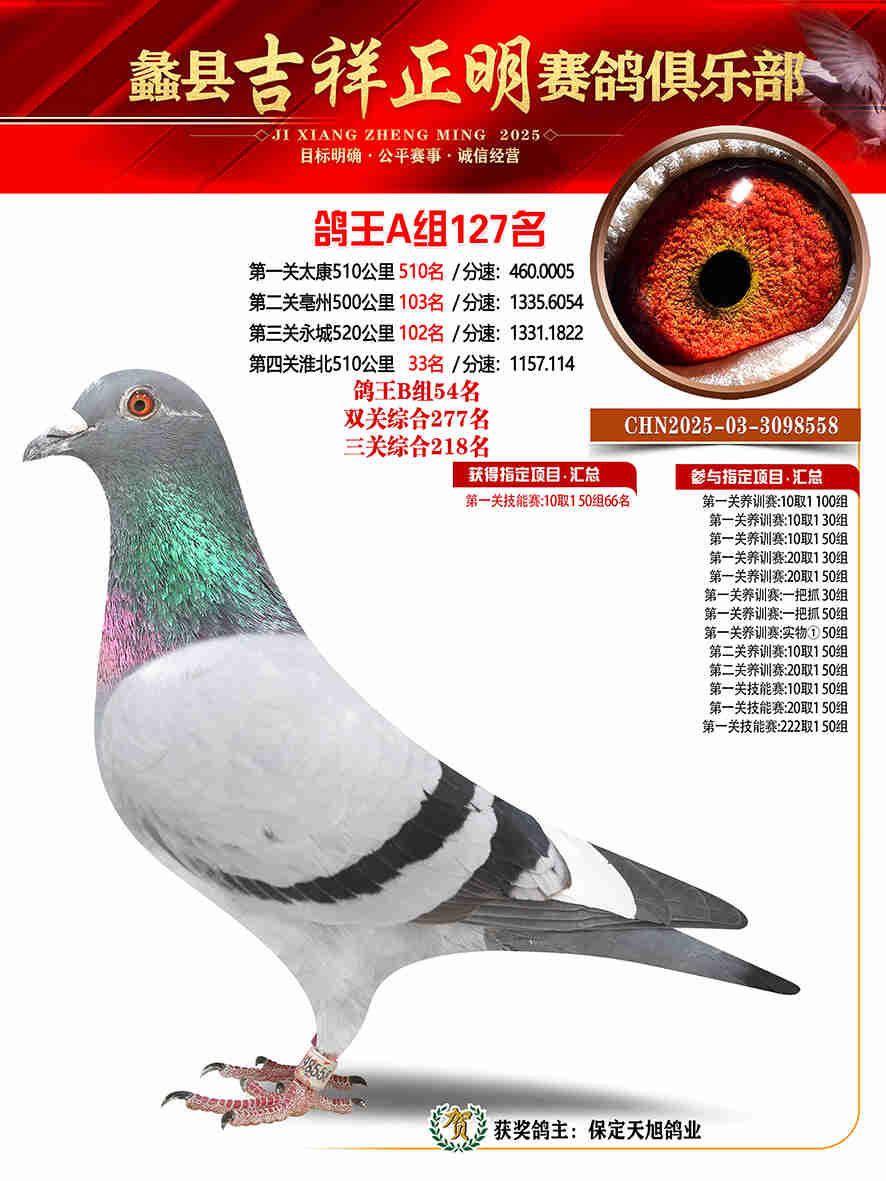 25年秋吉祥正明127号