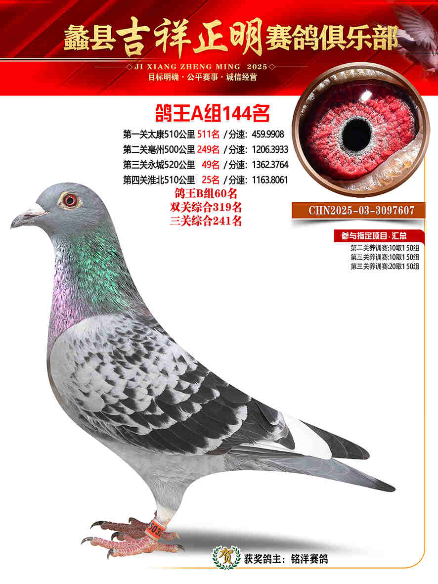 25年秋吉祥正明144号