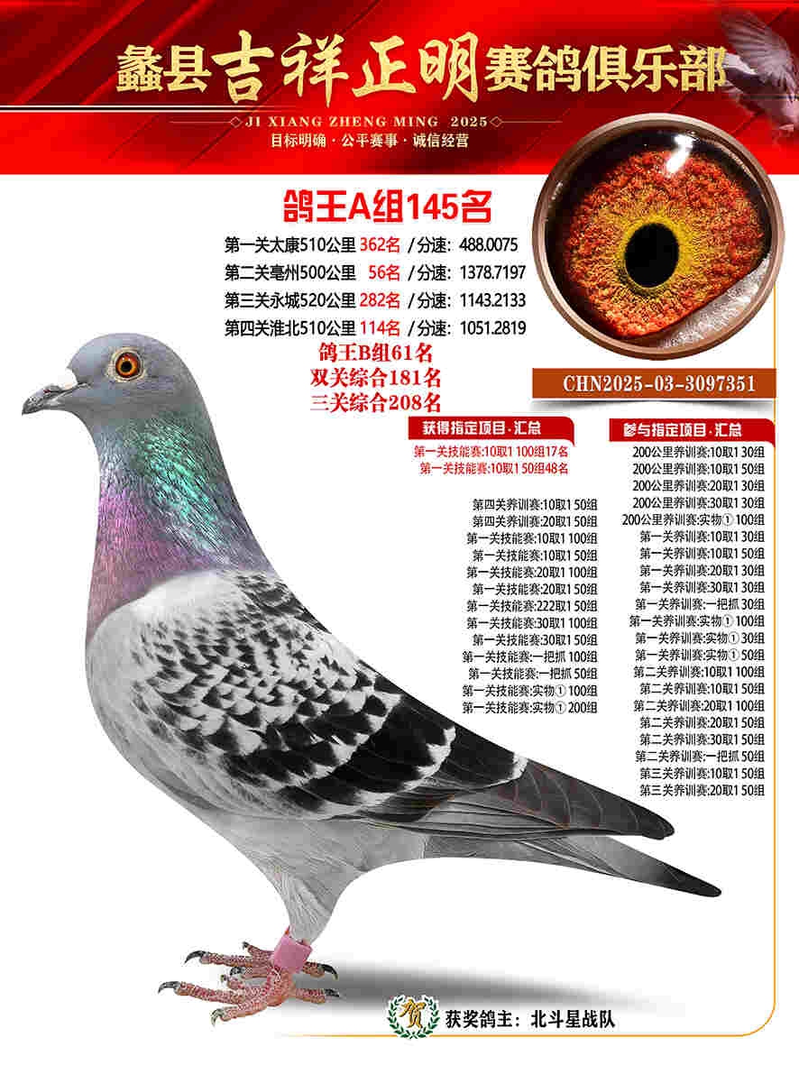 25年秋吉祥正明145号