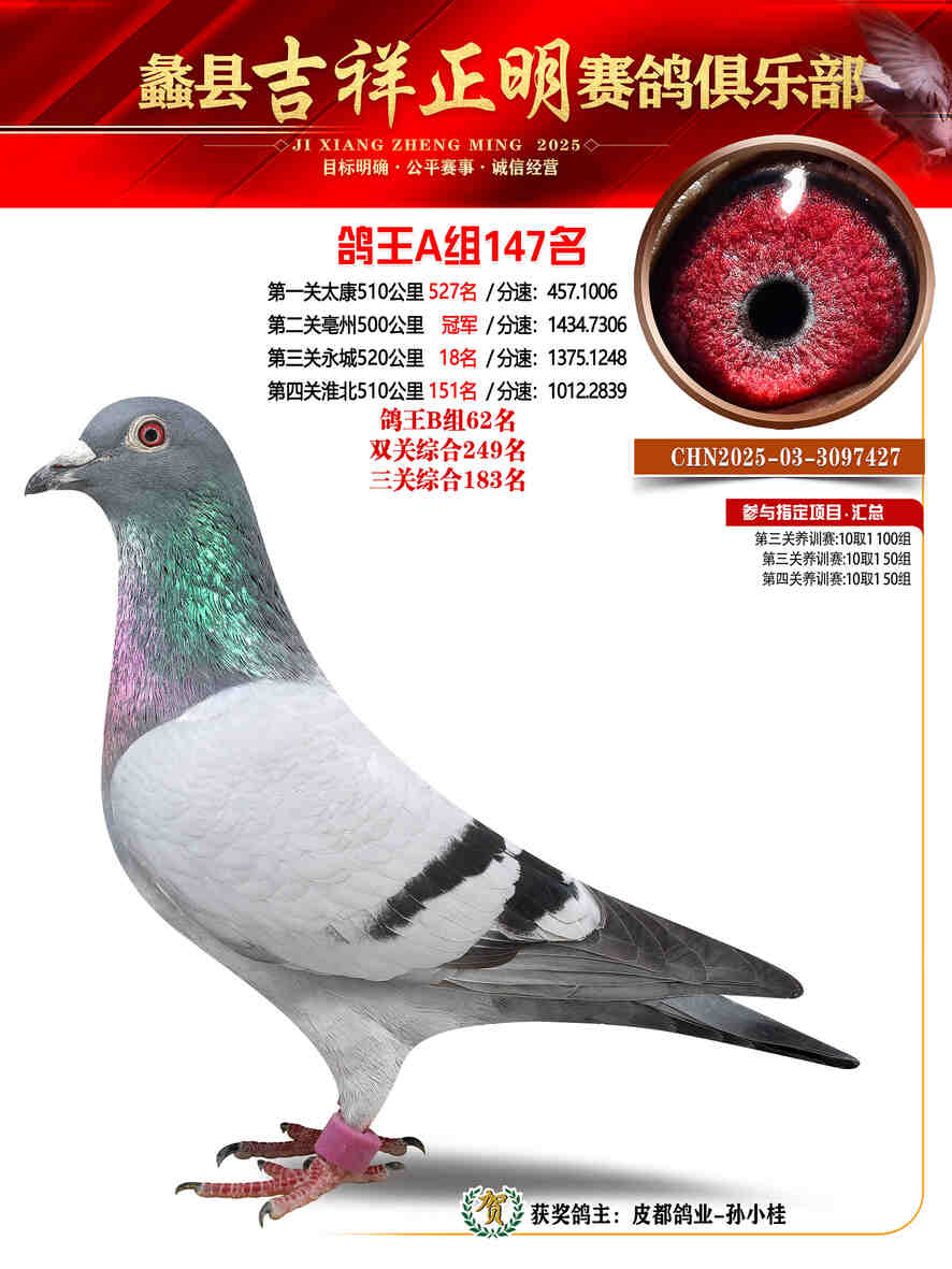 25年秋吉祥正明147号