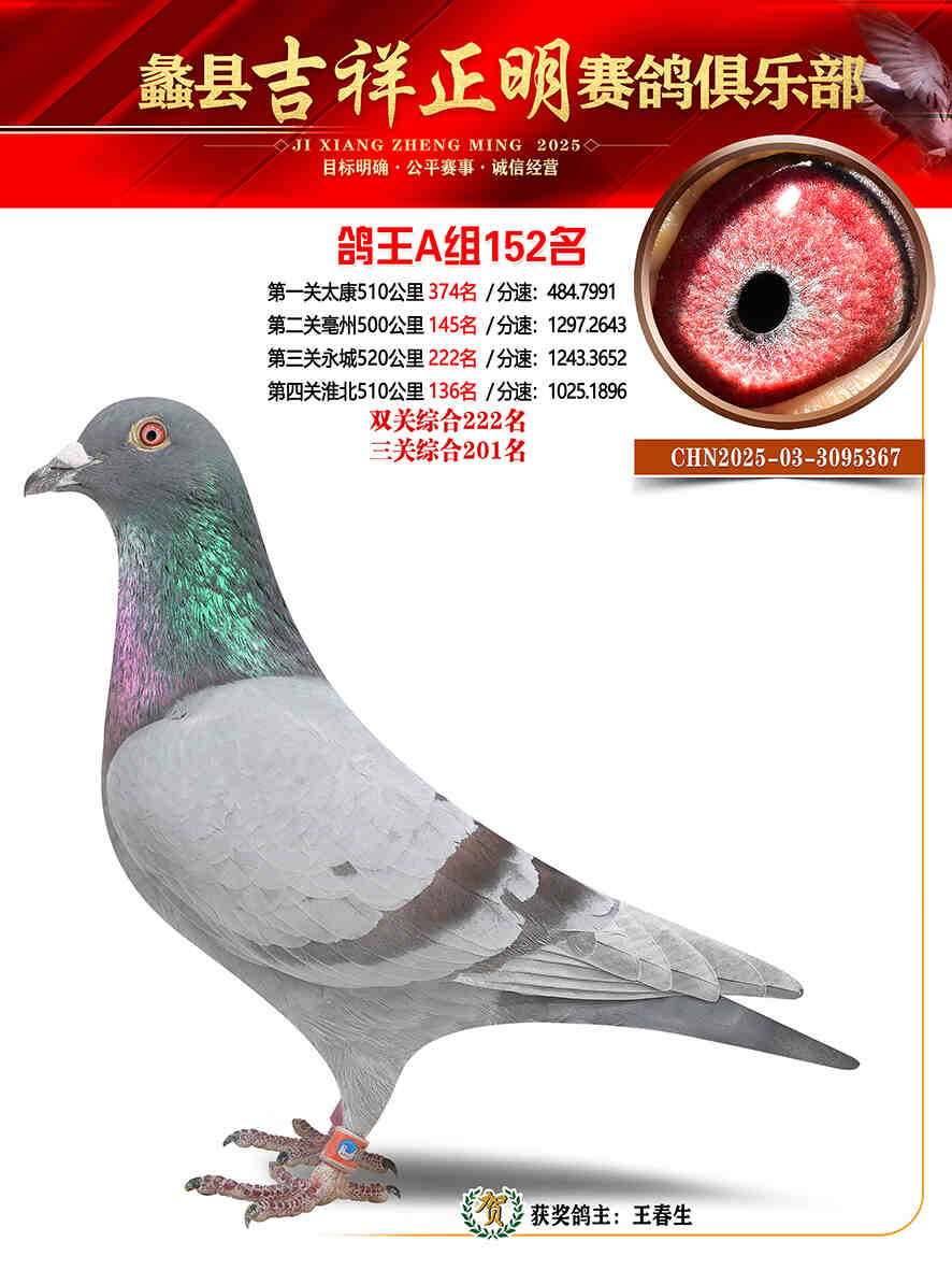 25年秋吉祥正明152号