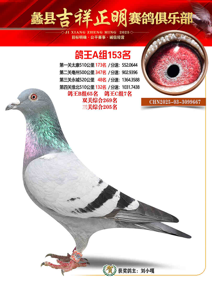 25年秋吉祥正明153号