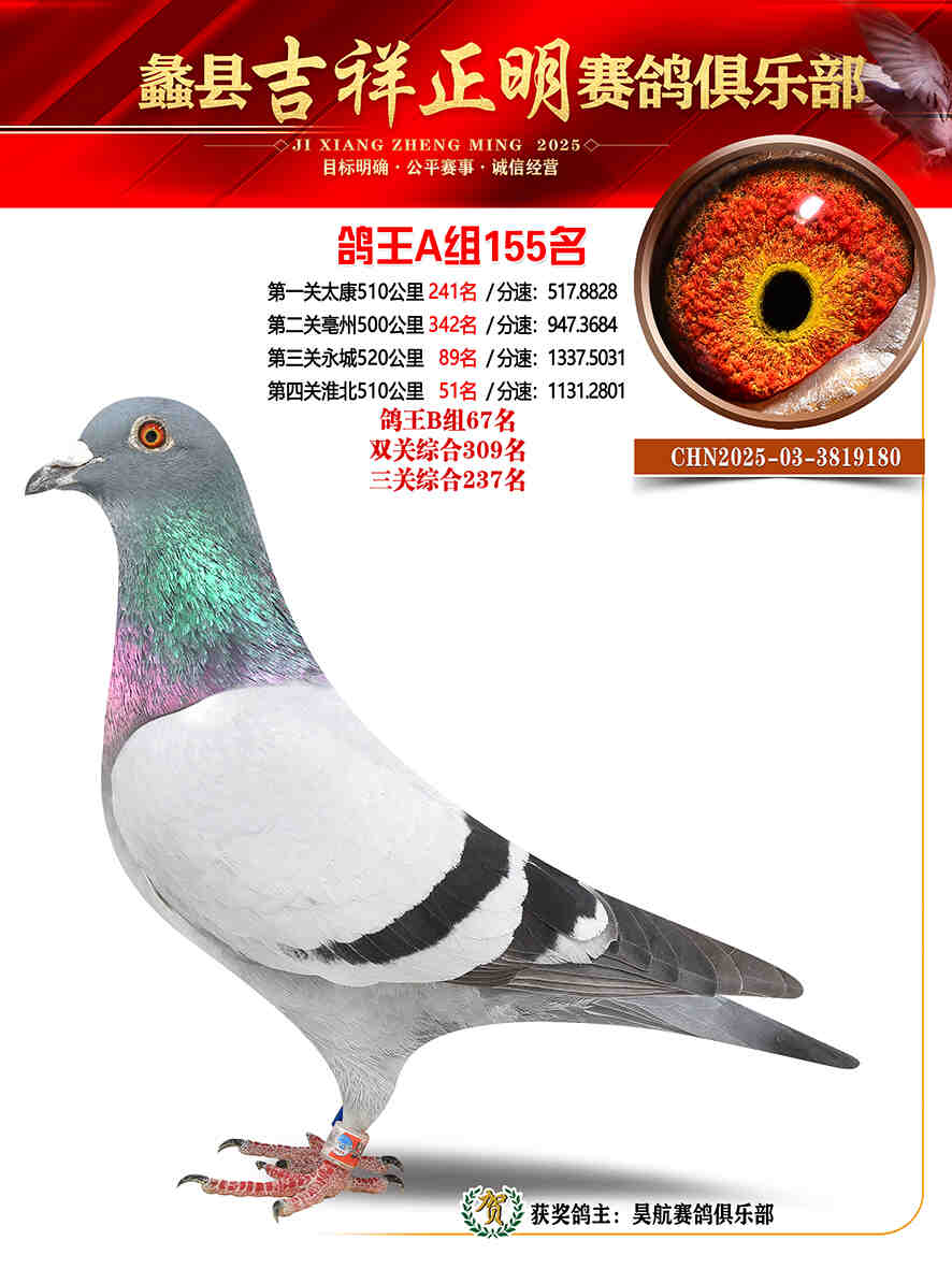 25年秋吉祥正明155号