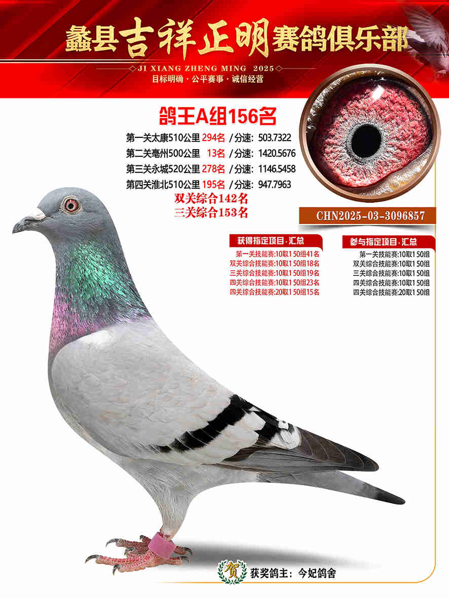 25年秋吉祥正明156号