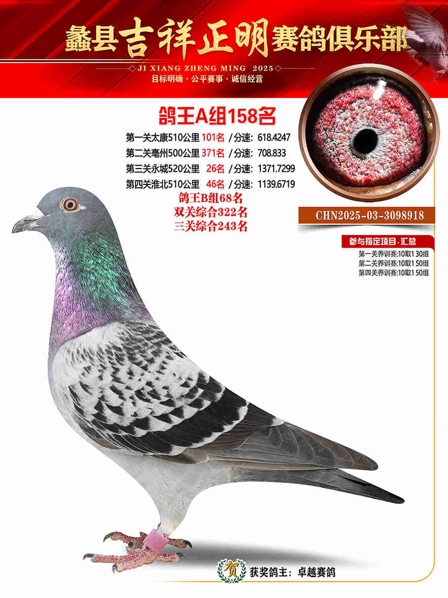 25年秋吉祥正明158号