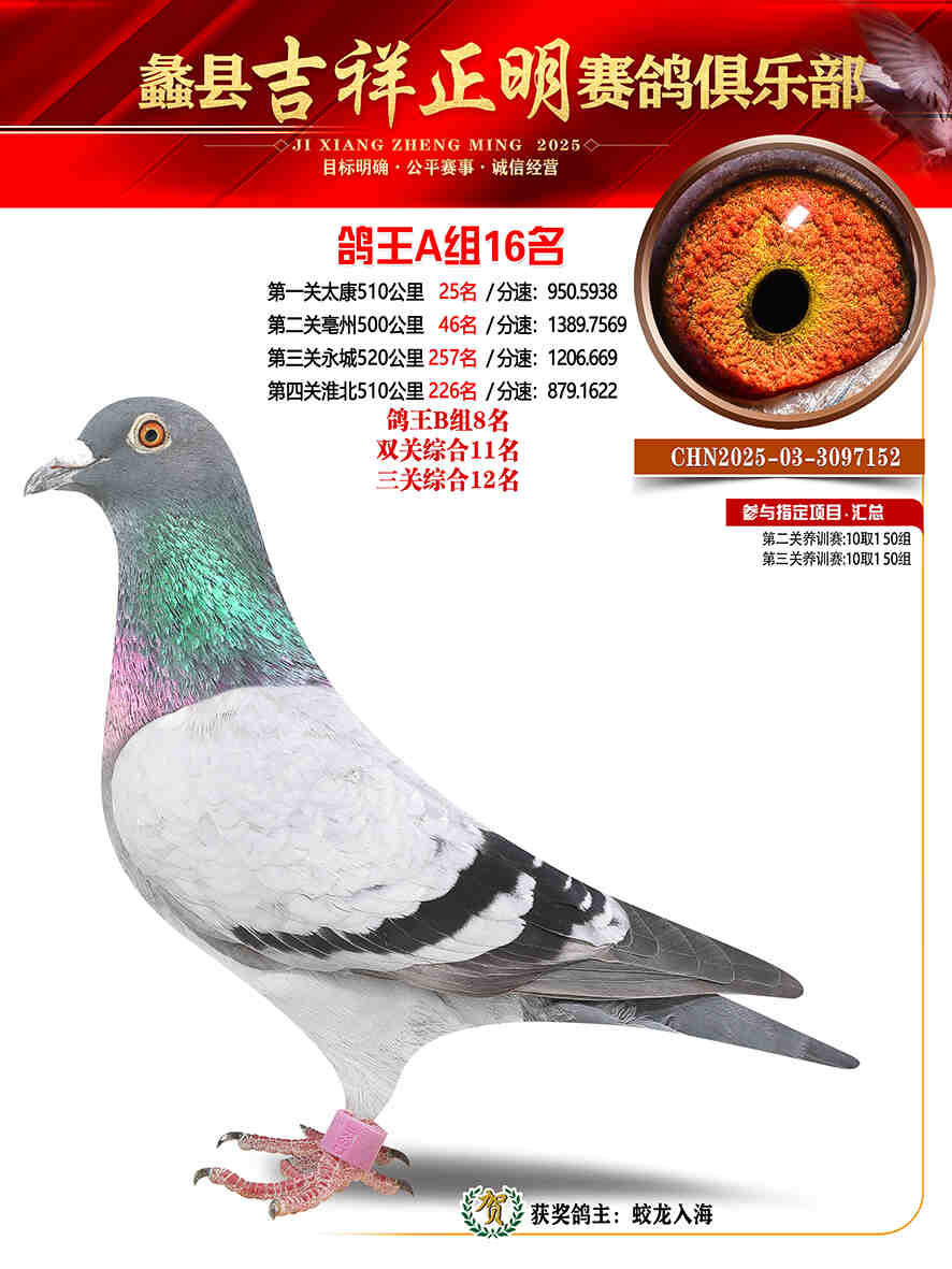 25年秋吉祥正明16号