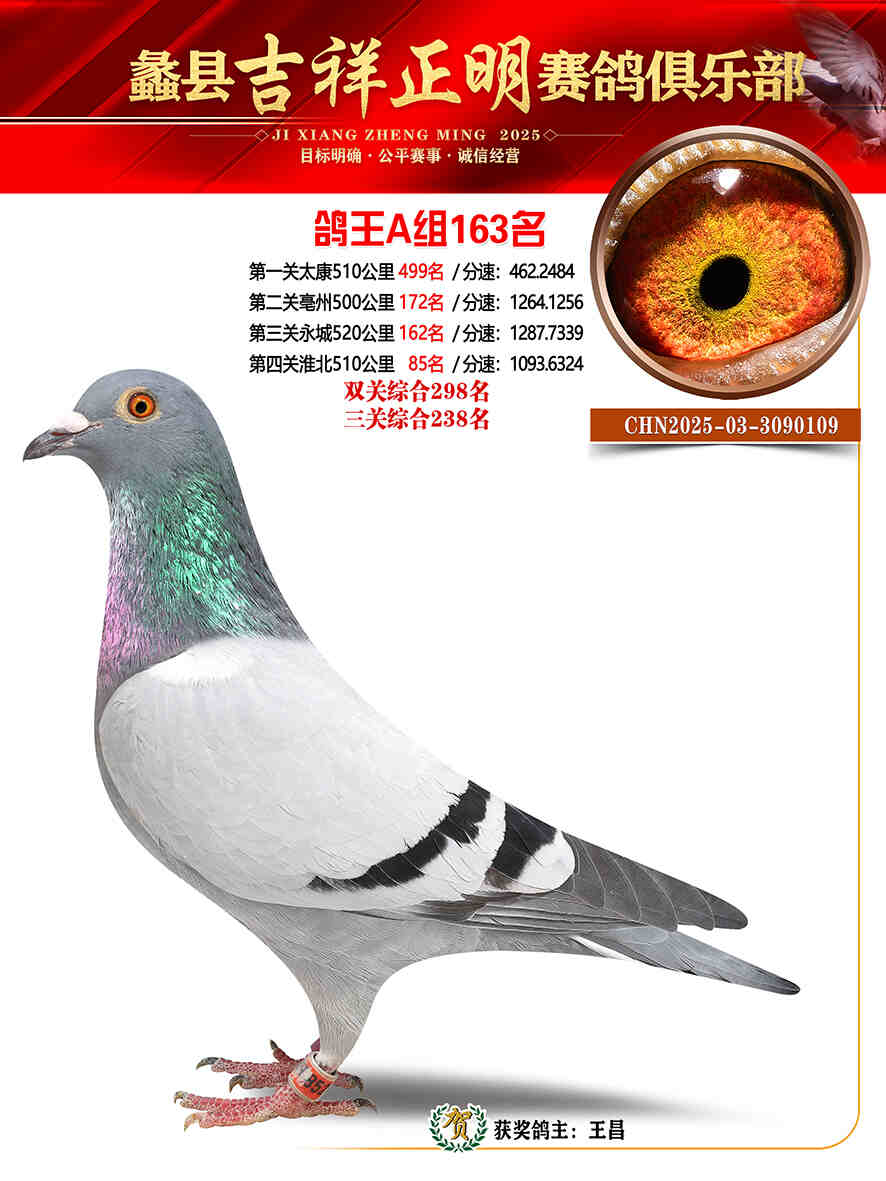 25年秋吉祥正明163号