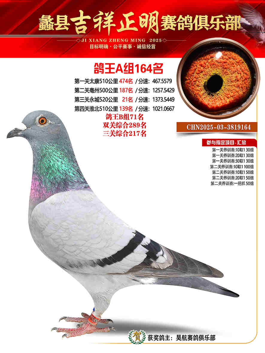 25年秋吉祥正明164号