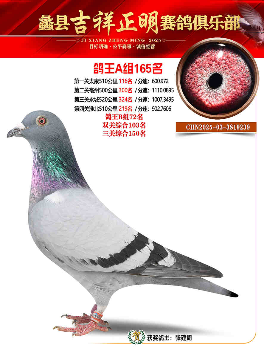 25年秋吉祥正明165号