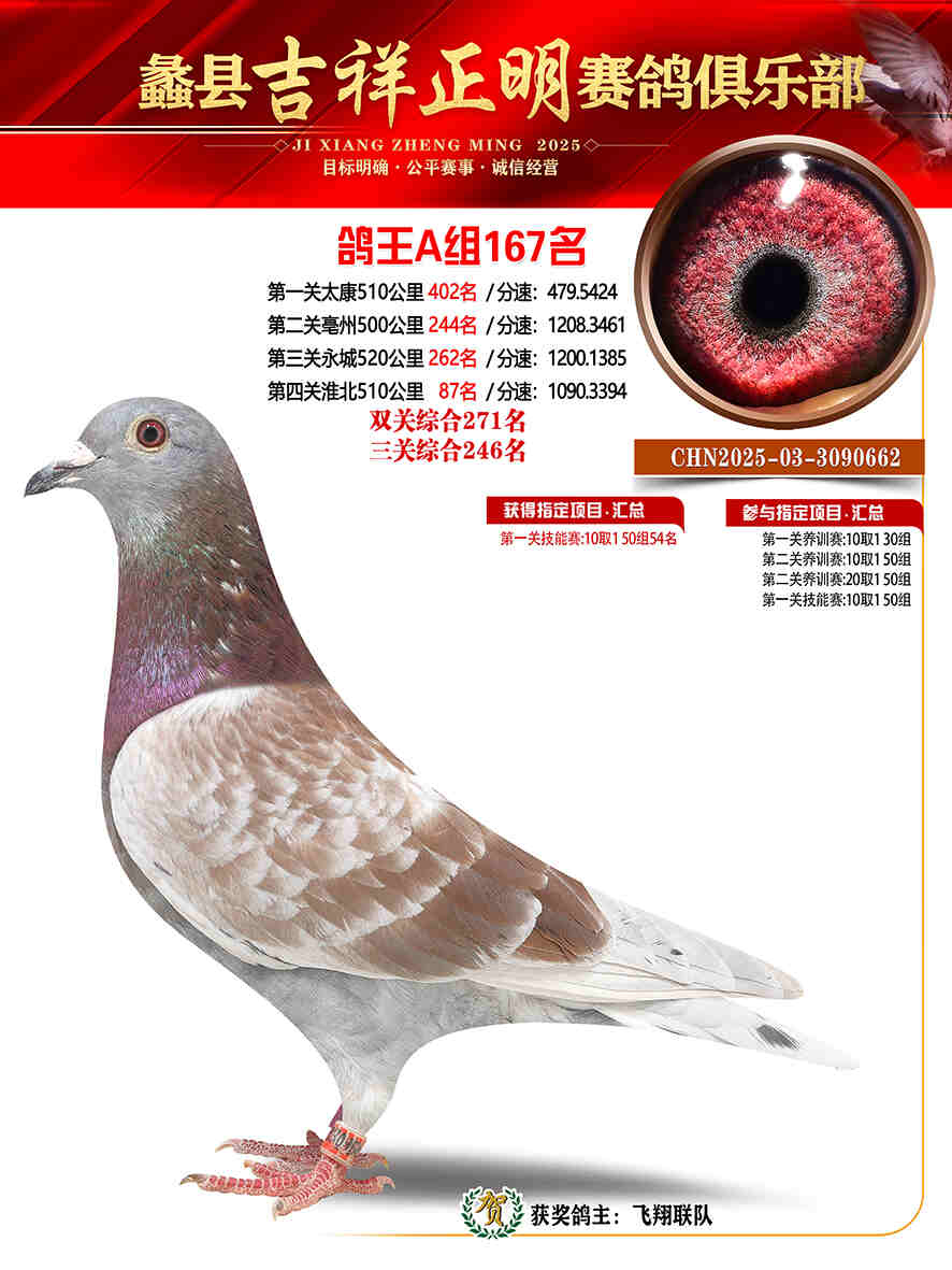 25年秋吉祥正明167号