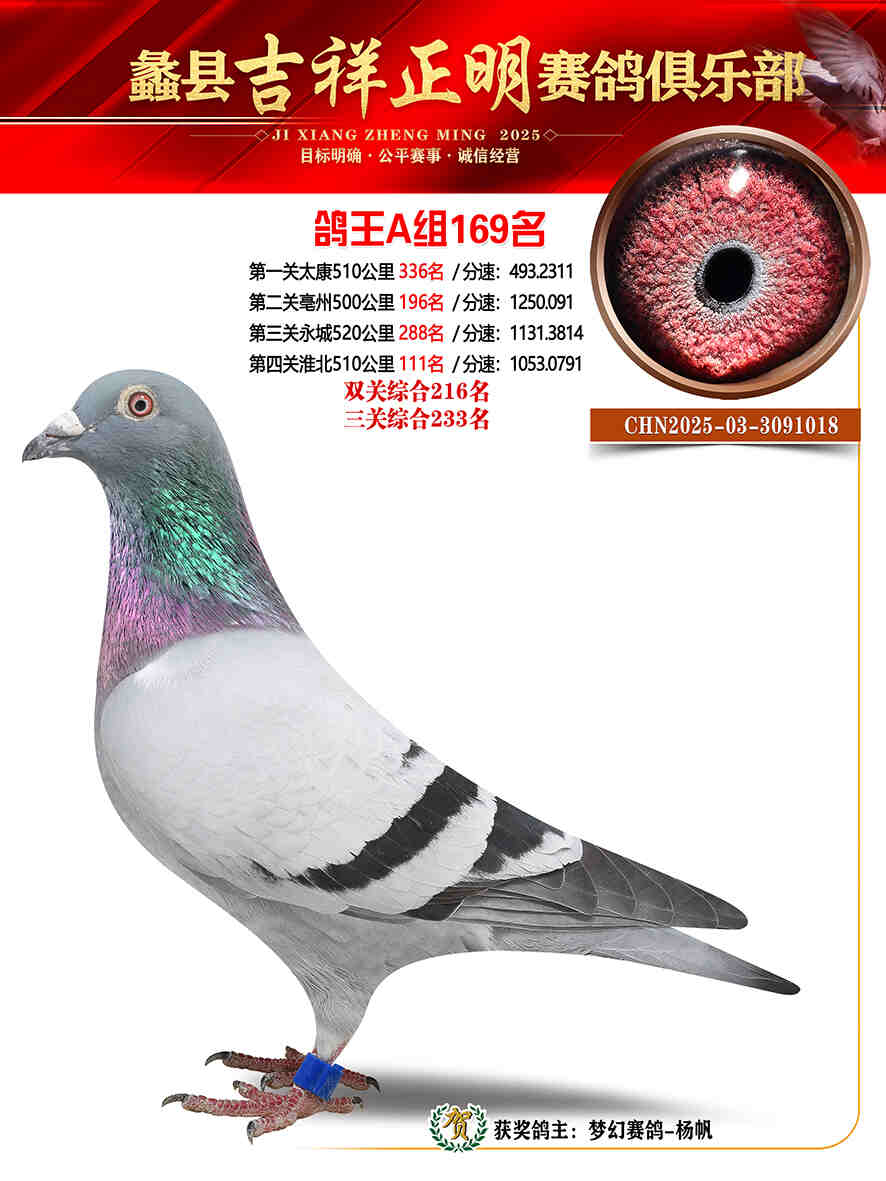 25年秋吉祥正明169号