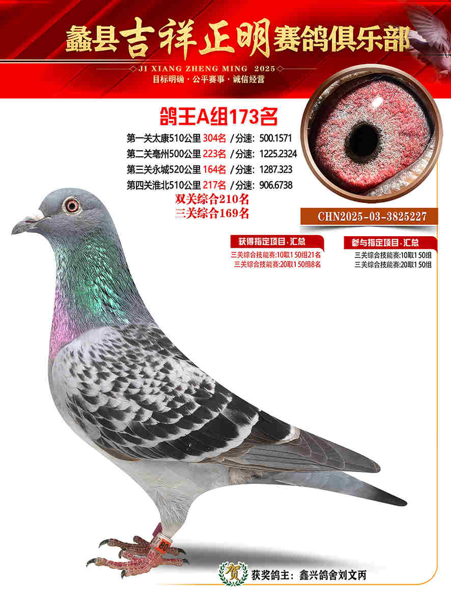 25年秋吉祥正明173号