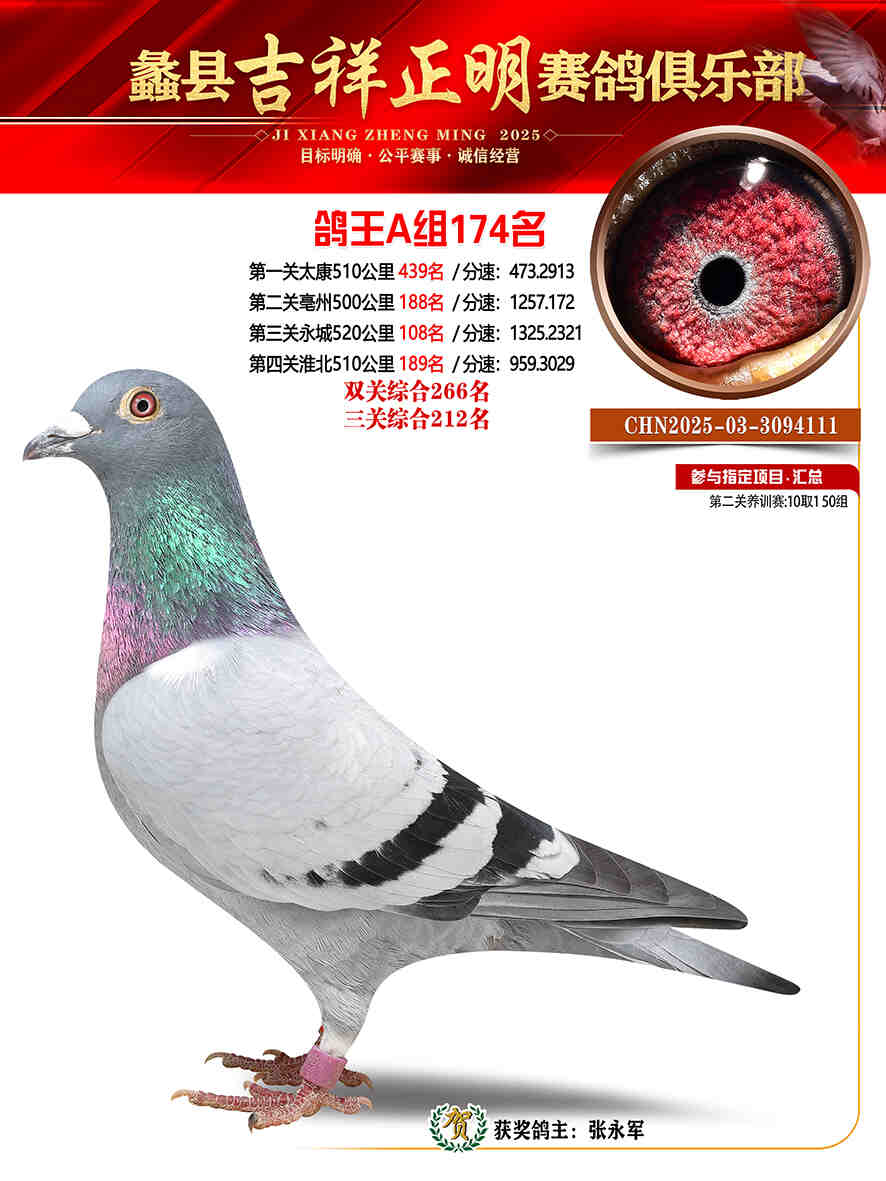 25年秋吉祥正明174号