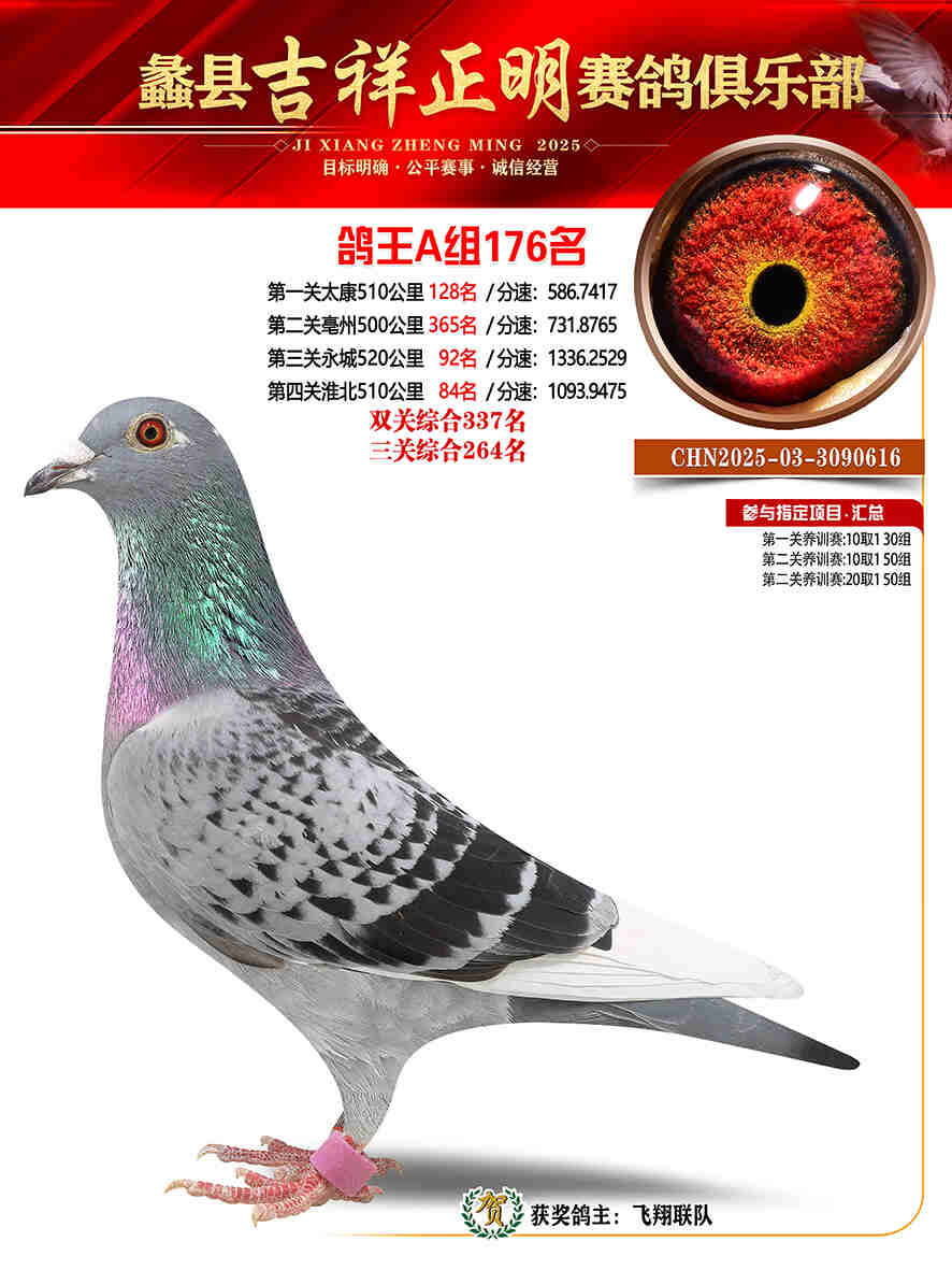 25年秋吉祥正明176号