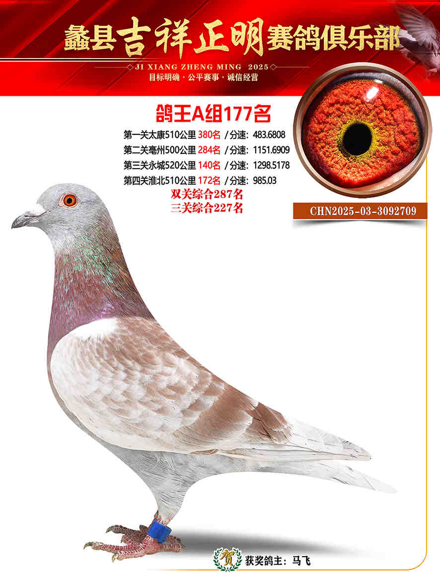 25年秋吉祥正明177号