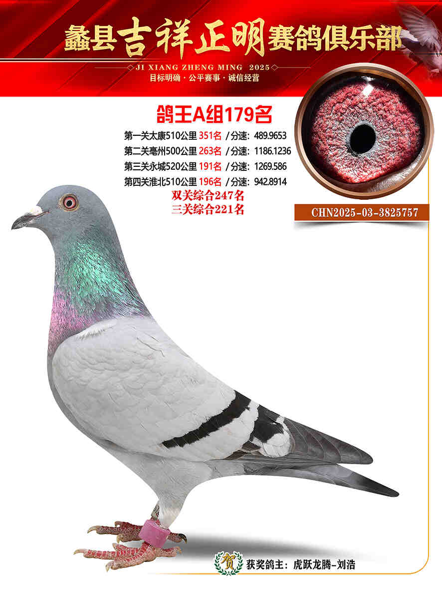 25年秋吉祥正明179号