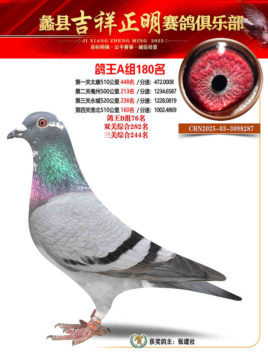 25年秋吉祥正明180号