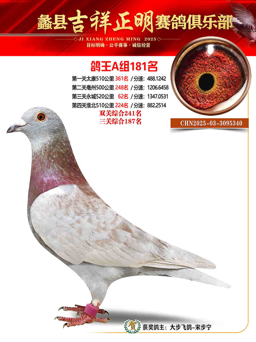 25年秋吉祥正明181号