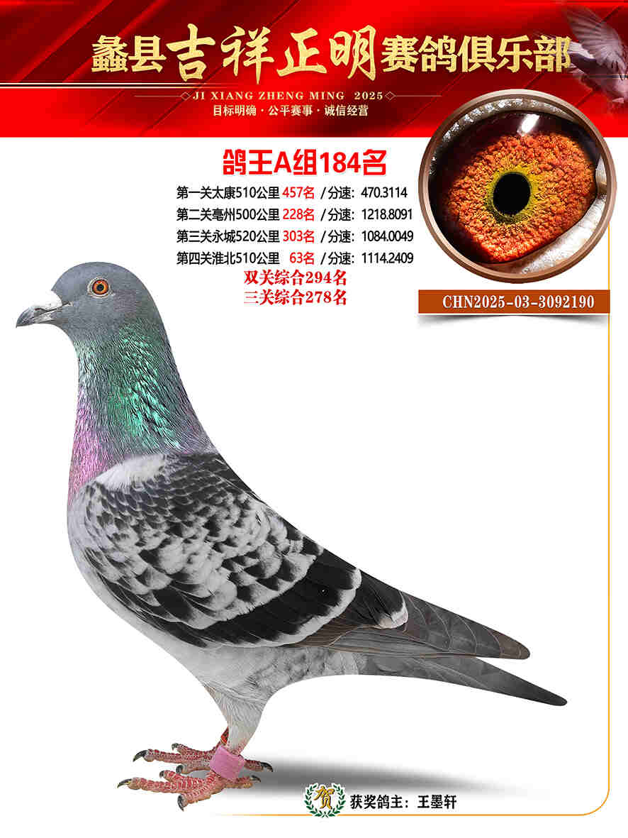 25年秋吉祥正明184号