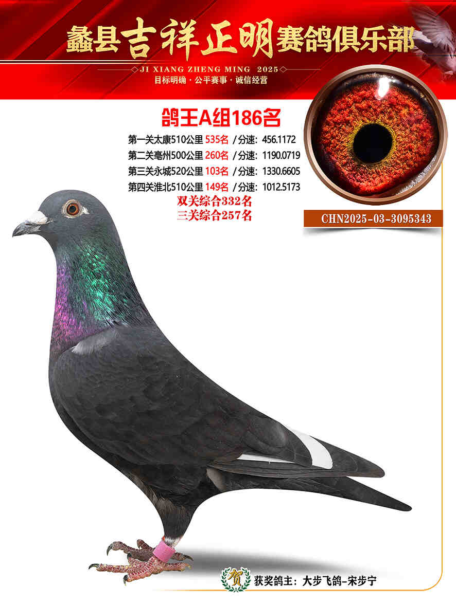 25年秋吉祥正明186号