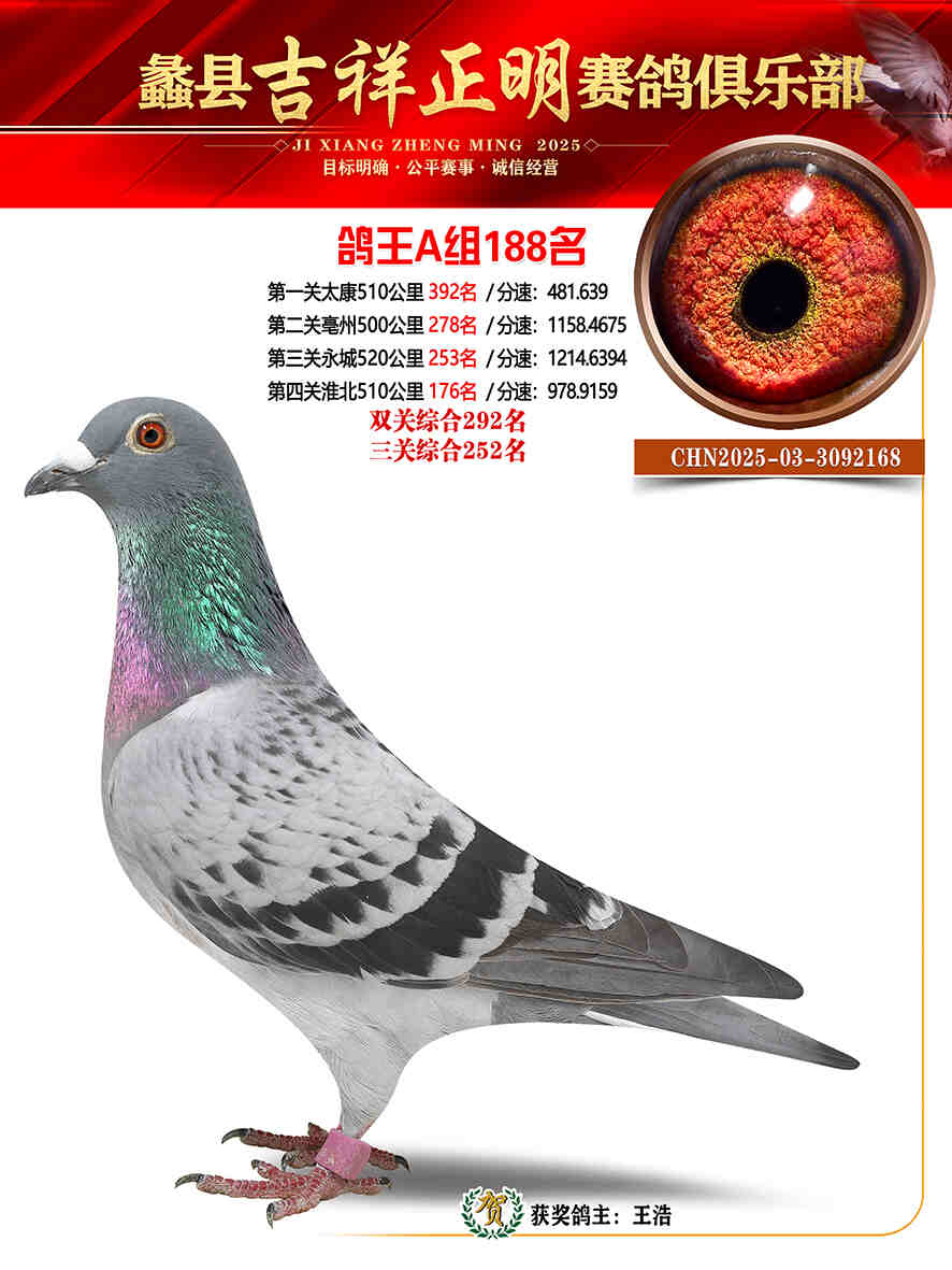 25年秋吉祥正明188号