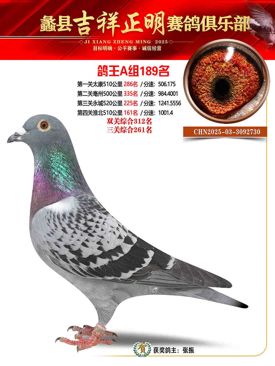 25年秋吉祥正明189号