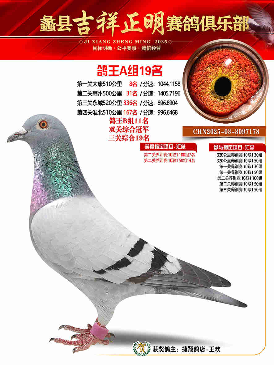 25年秋吉祥正明19号