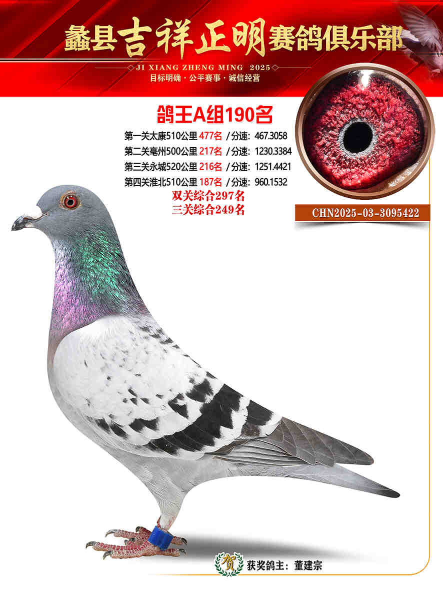 25年秋吉祥正明190号