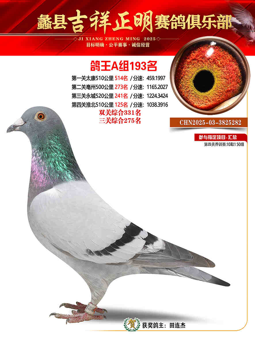 25年秋吉祥正明193号