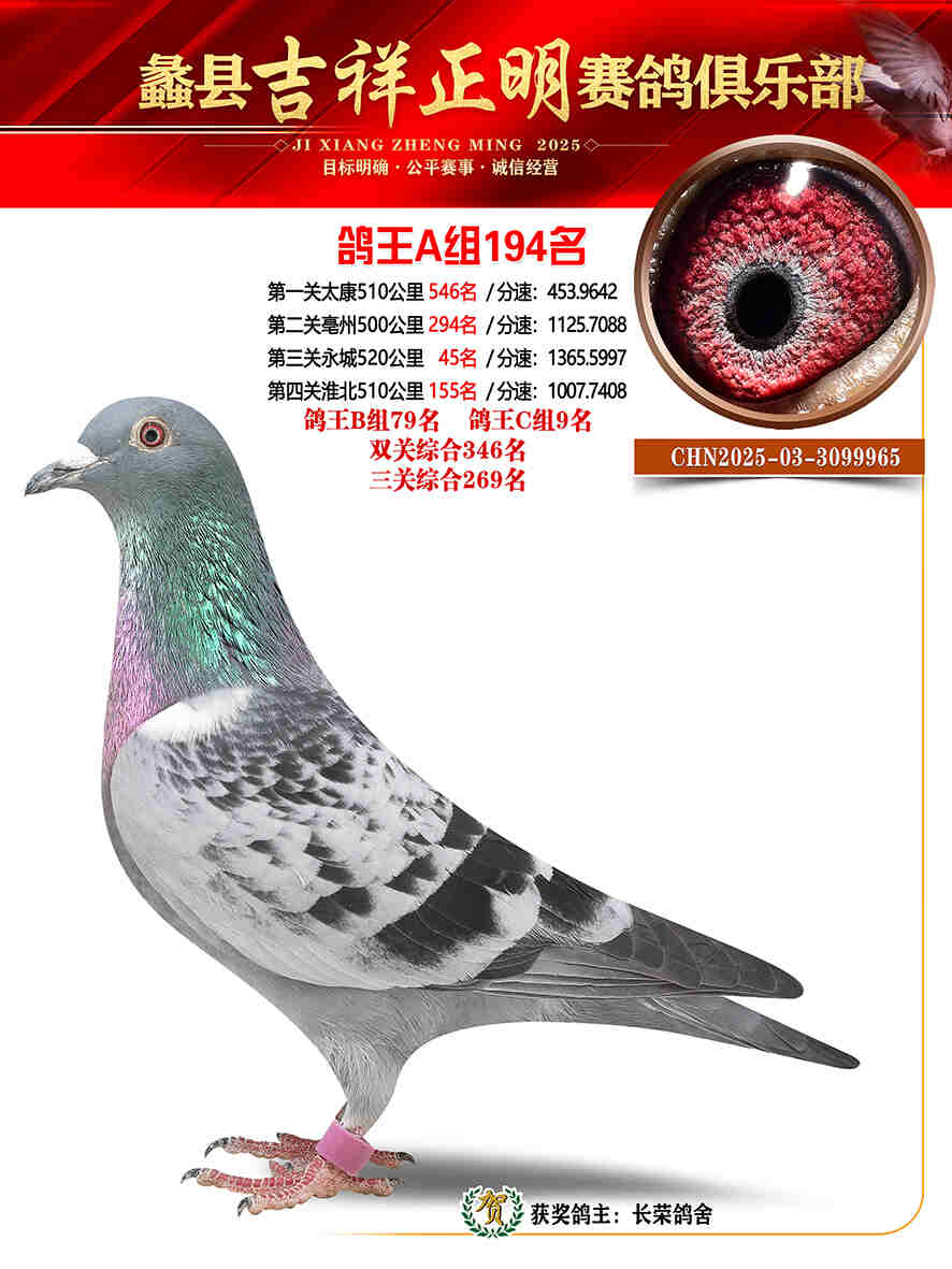 25年秋吉祥正明194号