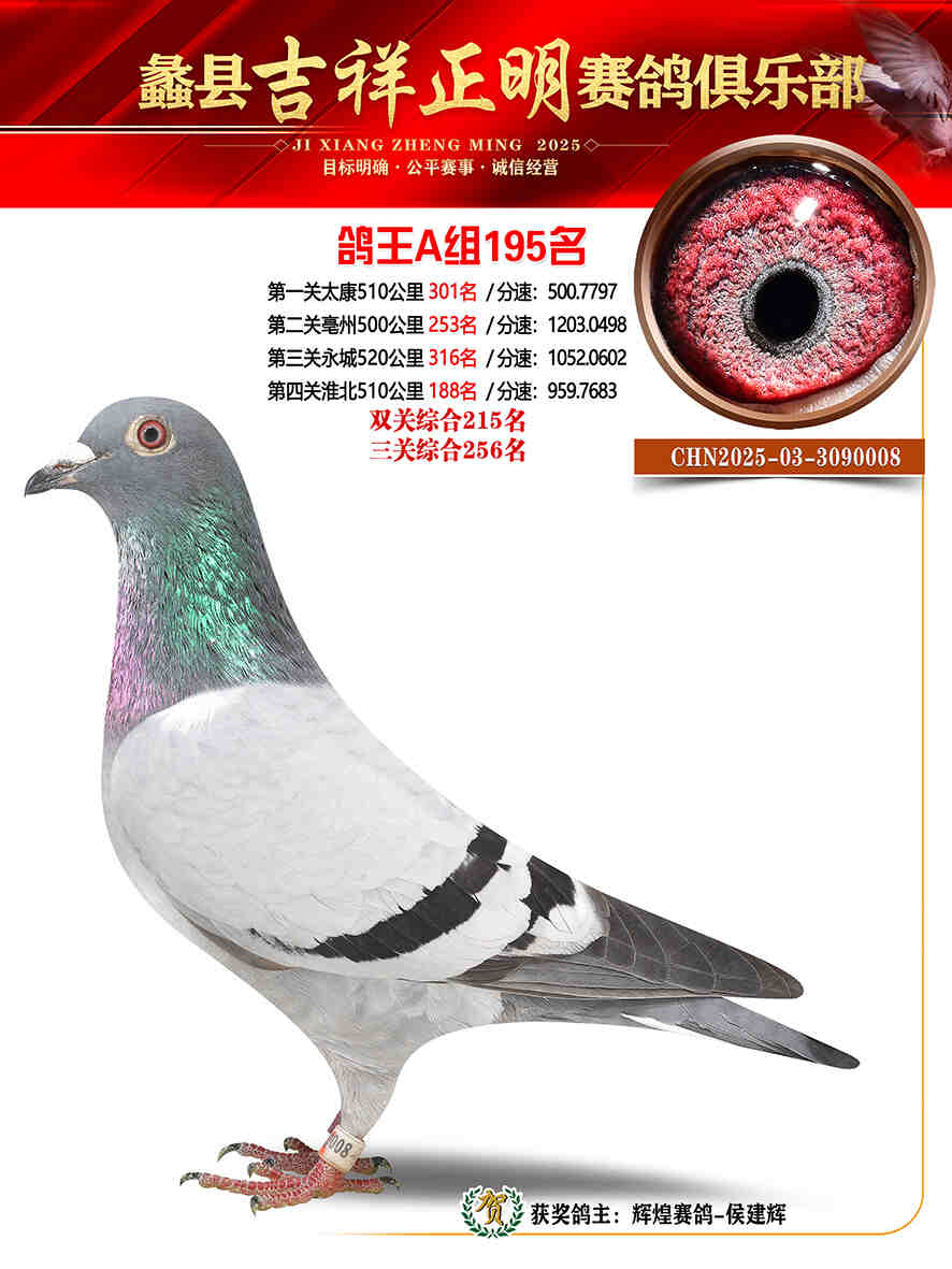 25年秋吉祥正明195号