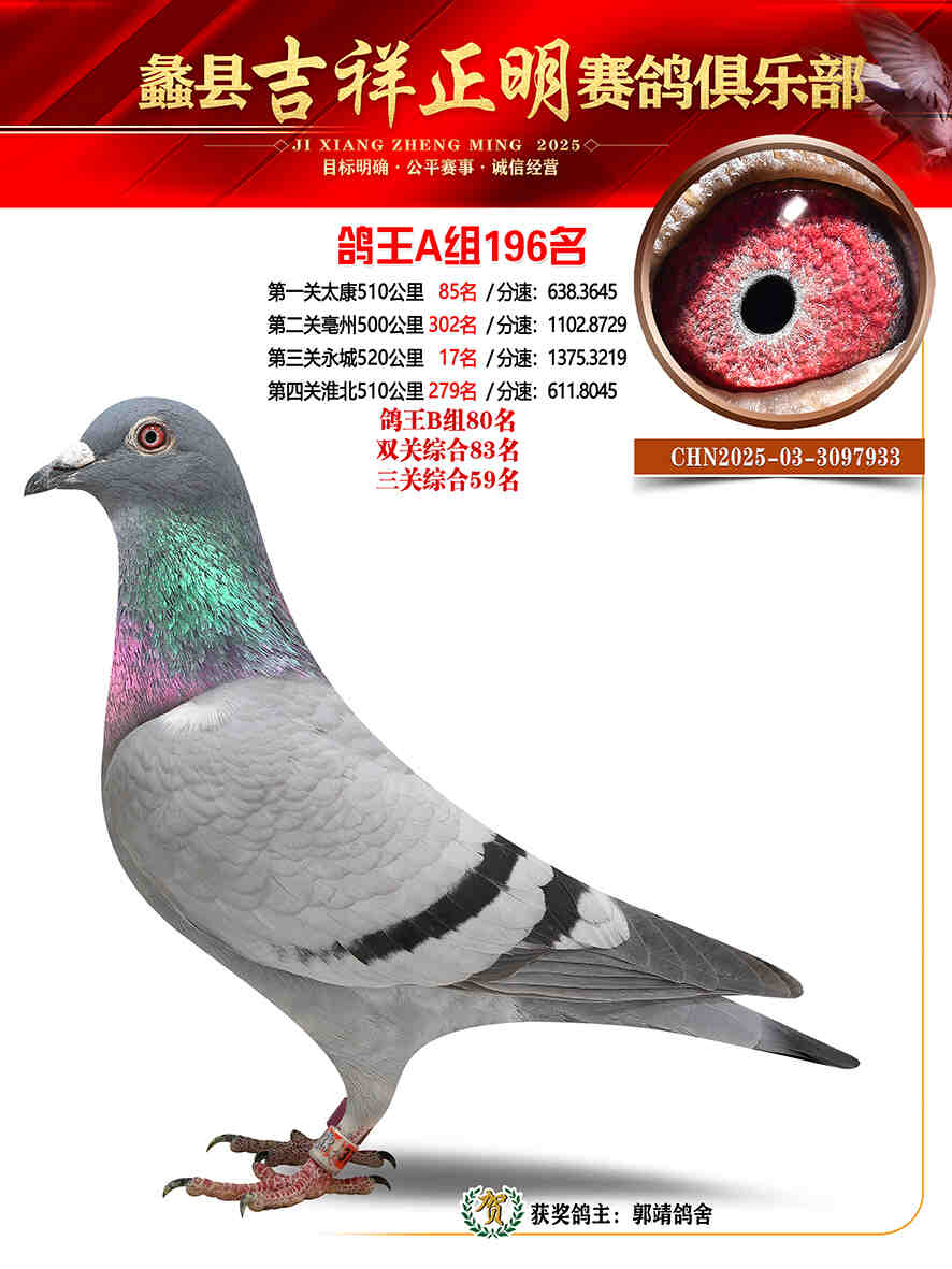 25年秋吉祥正明196号