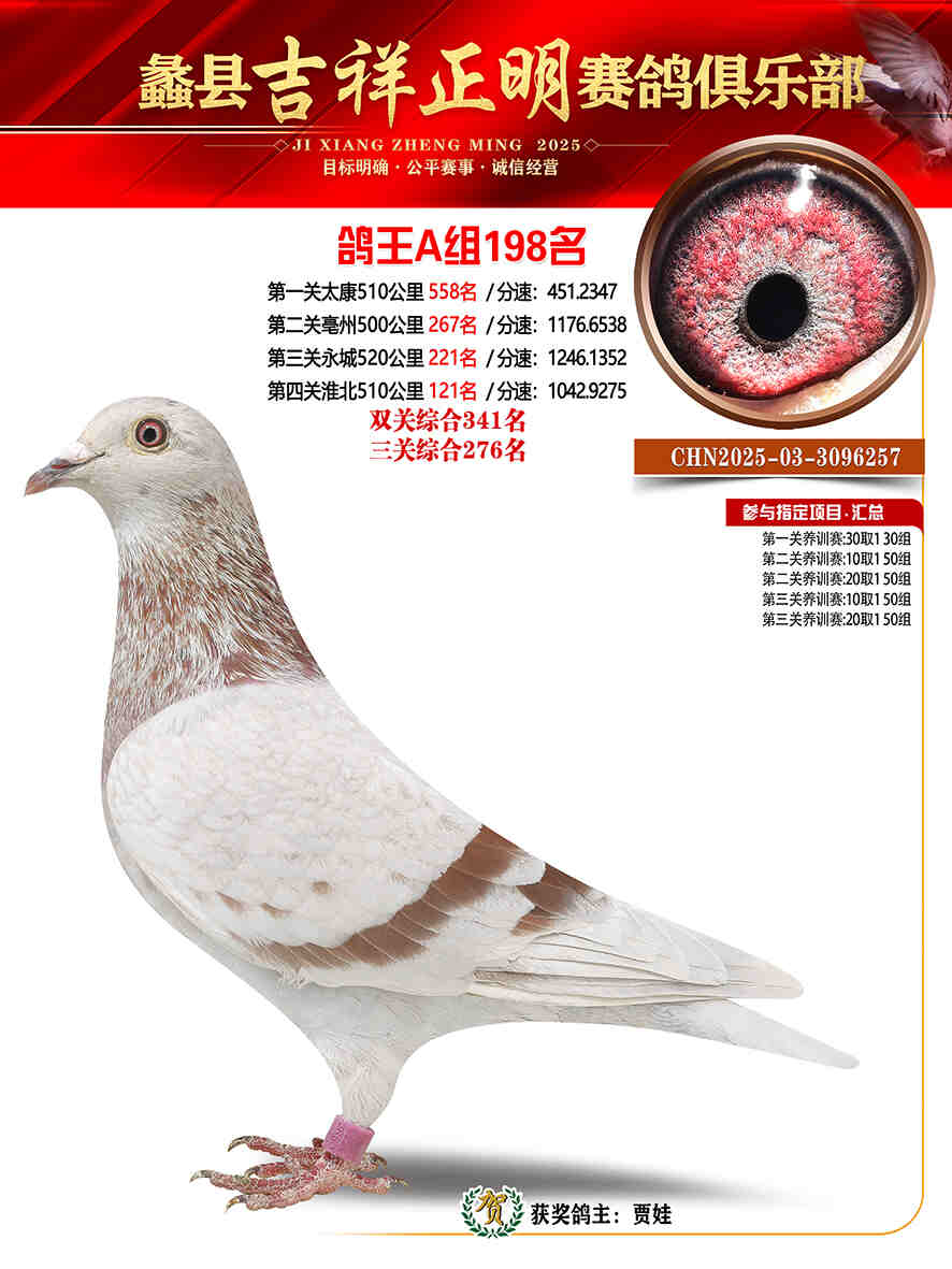 25年秋吉祥正明198号