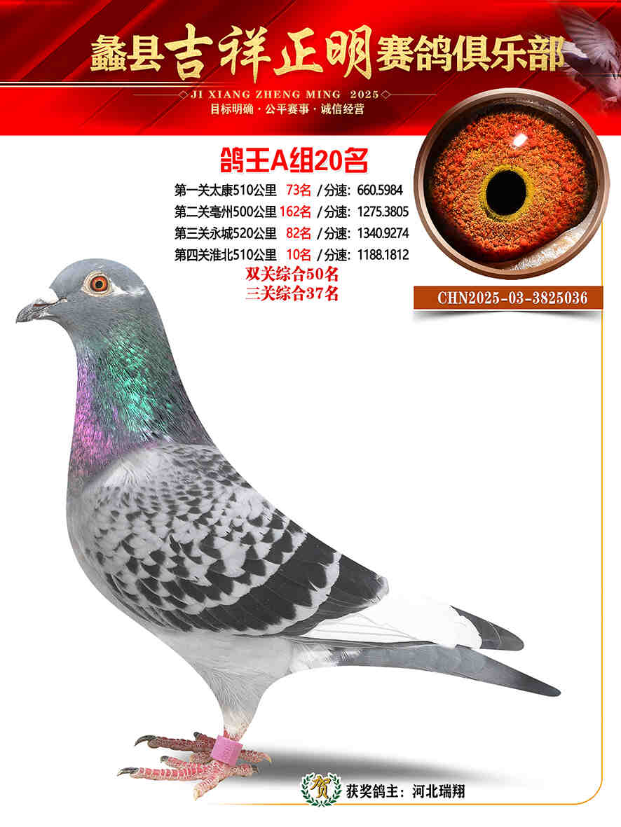 25年秋吉祥正明20号