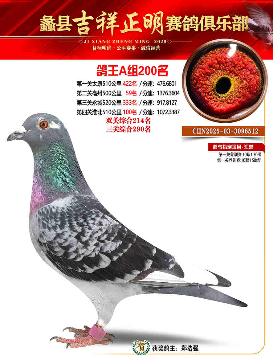 25年秋吉祥正明200号