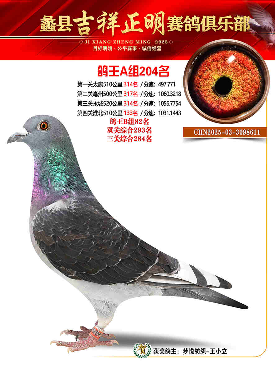 25年秋吉祥正明204号