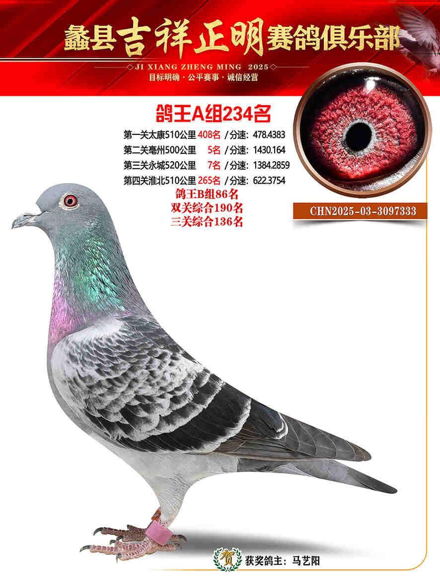 25年秋吉祥正明234号