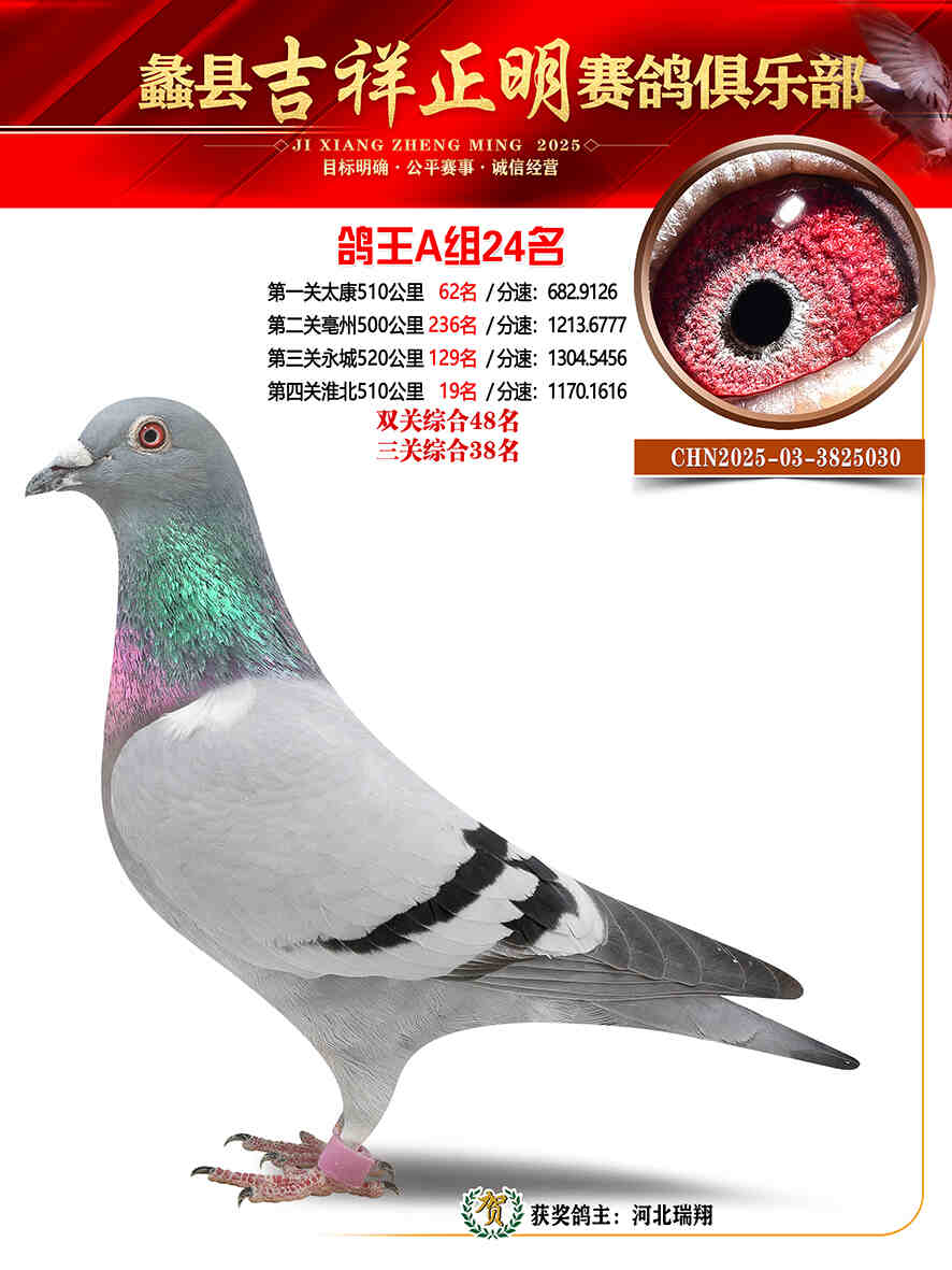 25年秋吉祥正明24号