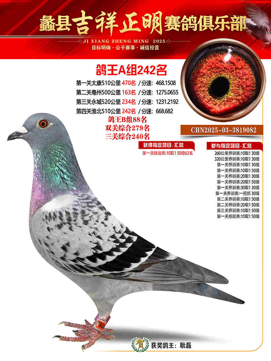 25年秋吉祥正明242号