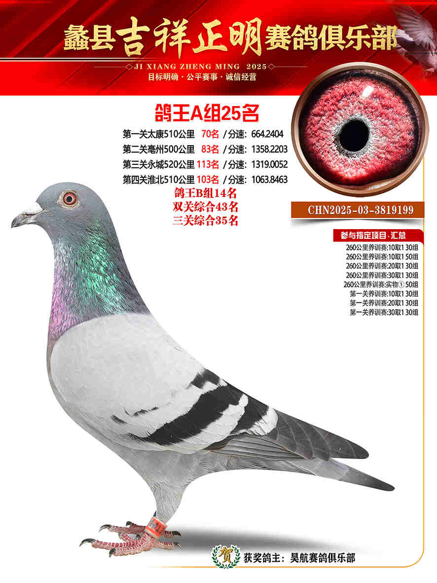 25年秋吉祥正明25号