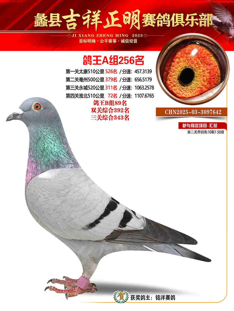 25年秋吉祥正明256号