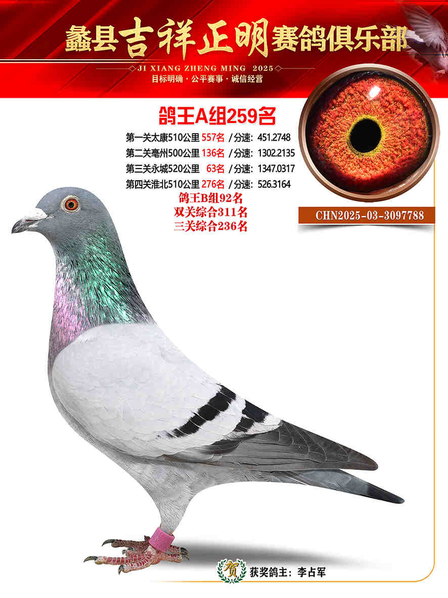 25年秋吉祥正明259号